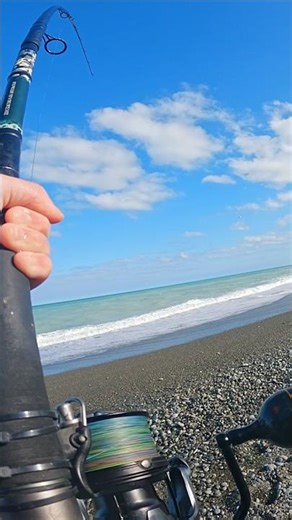 Non-stop Surfcasting Action Highlights | Catch and Cook