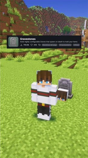 Don't lose your items when you die 🪦