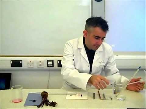 Unit 1 topic 2: Core practical: Effect of temperature on the permeability of cell membranes