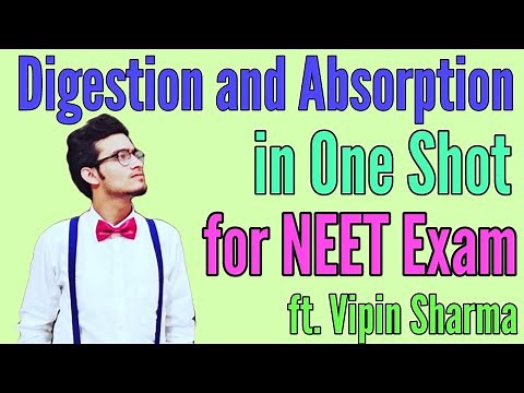 Digestion and Absorption in One Shot | Best Revision for NEET ft. Vipin Sharma | Human Physiology