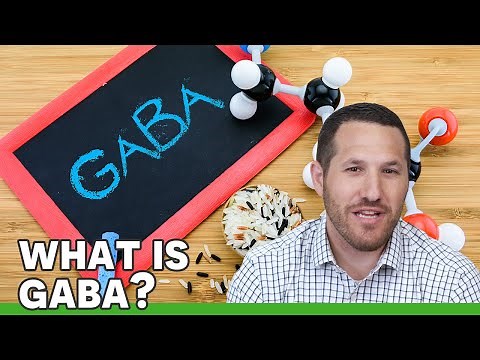 GABA | Ask the ND with Dr. Jeremy Wolf
