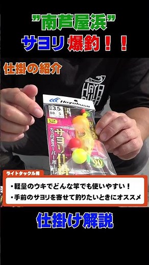 南芦屋浜でサヨリ爆釣！動画で使用した仕掛けを解説！