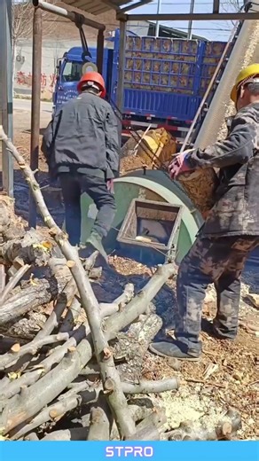 From Logs to Renewable Energy