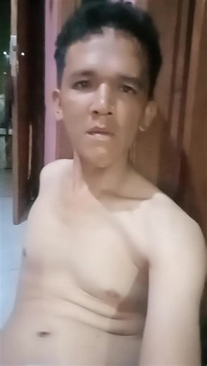 Exploring Dolphin Behavior in the Wild