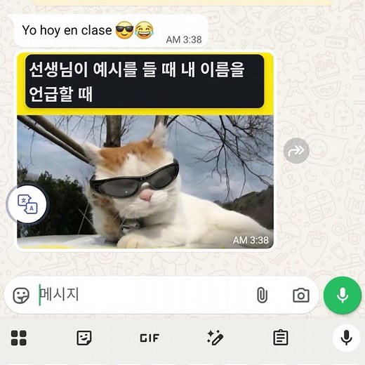 화면 번역 + 채팅 번역 앱 추천｜복사 없이 실시간 번역 (이미지 글자도 OK) #swifttranslate