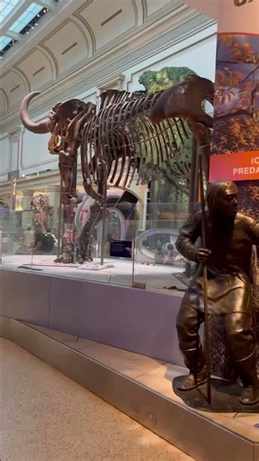 Smithsonian fossils are incredible 🦴🦖 | Washington DC #shorts