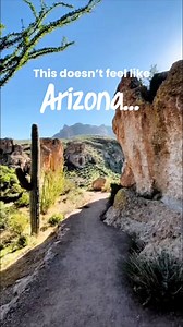 This was better than expected! Boyce Thompson Arboretum 📍Superior, Arizona #travelwithme #ustravel #phoenix #Arizona | Where The Road Wanders
