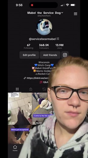 Mabels new link tree! 💜 #servicebearmabel #servicedog #dog #servicedogs #dogs #workingdog #servicedoglife #servicedogsoftiktok #link #linktree #amazon #wishlist #amazonwishlist #donate #discount #code #greenscreenvideo