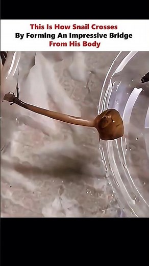 Its Not Turbo 🤔 #physics #scienceexplained