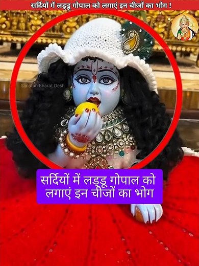 सर्दियों में लड्डू गोपाल को लगाएं इन चीजों का भोग😍 #sanatanbharatdesh #laddugopal #shorts