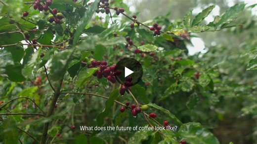 #regenerativeagriculture #sustainability #regeneration | Santiago Gowland