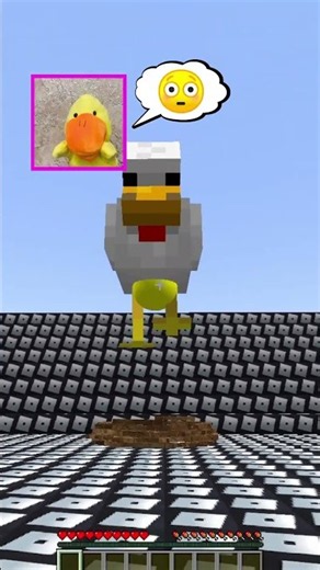 Super chicken protects her egg 🐔🥚