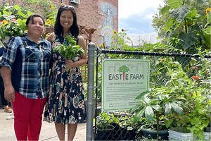 Earth Matters: Declaring a climate emergency; redlining still pollutes; Boston's food justice mayor