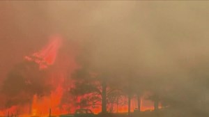 Arizona wildfires burn over 25,000 acres, forcing thousands to evacuate