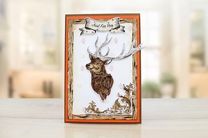 Tattered Lace meets Rare Earth... from 8am 25th November on Create & Craft TV | Tattered Lace Dies