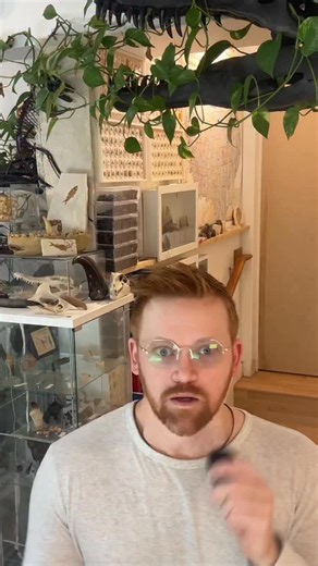 IDigDeadStuff on Instagram: "🚨NEW DINOSAUR🚨 🦖🦕🥚 Meet Manipulonyx reshetovi, the newest alvarezsaurid dinosaur from Mongolia. Get ready to learn about some weird prehistoric hands! #dinosaur #paleontology #sciencenews #stem A.O. Averianov et al, Forelimb structure and function in a new Late Cretaceous parvicursorine theropod dinosaur from Mongolia. Proceedings of the Zoological Institute RAS, 2025, 329(4): 382–408 DOI: 10.31610/trudyzin/2025.329.4.382"