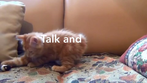 2K Cameras for Home Security, 2.4/5GHz Wi-Fi 6 Indoor Camera for Dog/Pet/Nanny/Baby with US Phone App, AI Text Recognition, Smart Search, Color Night Vision,2 Way Talk Mini Cam,Human Detection,2 Packs