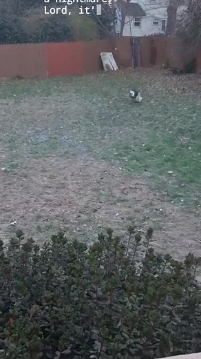 Susan Stansfield on Reels