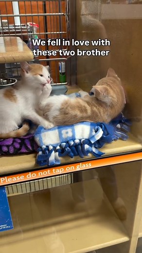 58K views · 2.2K reactions | Navigating something we never thought...