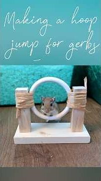 How to make an agility hoop jump for gerbils