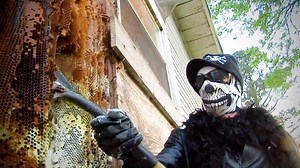 Billy is on a mission to exterminate a 7-foot-long beehive! | Billy the Exterminator on A&E