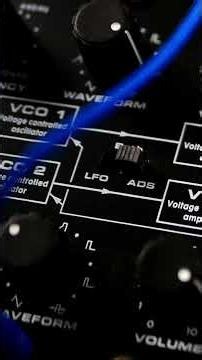 Behringer Kobol Expander - TWISTED SEQUENCES 🌀 (Sound Demo) #shorts