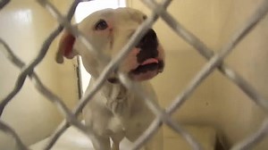 155 reactions · 983 shares | This pretty lady looks like she has been...