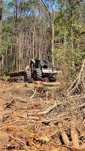 dragging a nice cypress drag. #johndeere #748h #cypress #fyp | Peake Warren