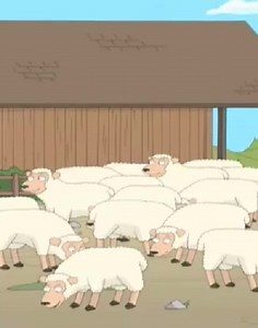 That sheep is crazy #familyguy #funny #sheep #crazy | Griffin Jasper