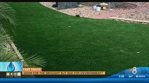 Artificial turf: Good for the drought but bad for the environment?