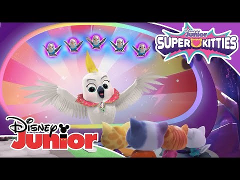 Superkitties: Conoce a los SuperKitties | Disney Junior Oficial