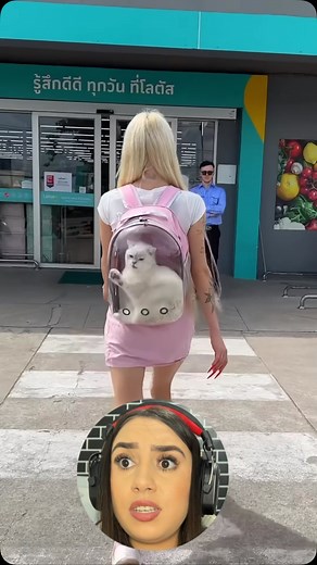 TADINHO DO GATO 🥹 . . . #react #animal | Anny da quebrada