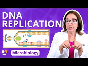 DNA Replication: Microbiology Genetics Pre-Nursing, Pre-Med & Health Field Careers | ‪@LevelUpRN‬