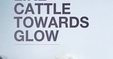 Like Cattle Towards Glow - Star Online