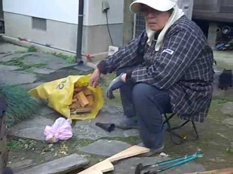 How to Cook Fresh Bamboo Shoots