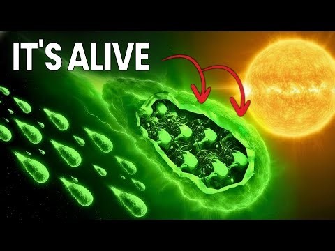 3I/ATLAS: Remote Viewer Saw Shocking Anomalies