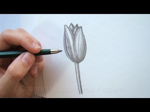 Zeichnen lernen: Blume zeichnen - Tulpe malen lernen mit Bleistift - Einfache Blüte