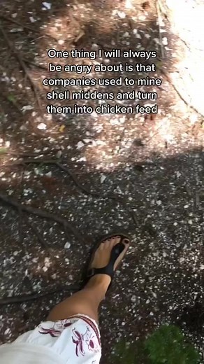 Whaleback Shell Midden: A Treasure of Wabanaki Heritage