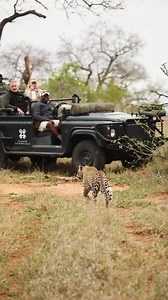 1.6M views · 8.4K reactions | “You cannot leave Africa, Africa said....