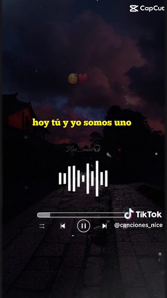 Canciones de Amor para Dedicar | Letra y Música Romántica