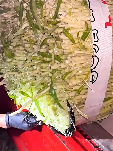 #relaxing #satisfying #farming #agriculture