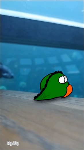 Day at the Seattle Aquarium