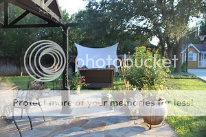 Spandex Outdoor Screen