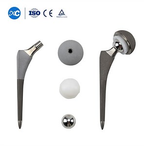 [Hot Item] Titanium Cemented Femoral Stem Articulatio Coxae Reconstruction Total Hip Joint Replacement Prosthesis