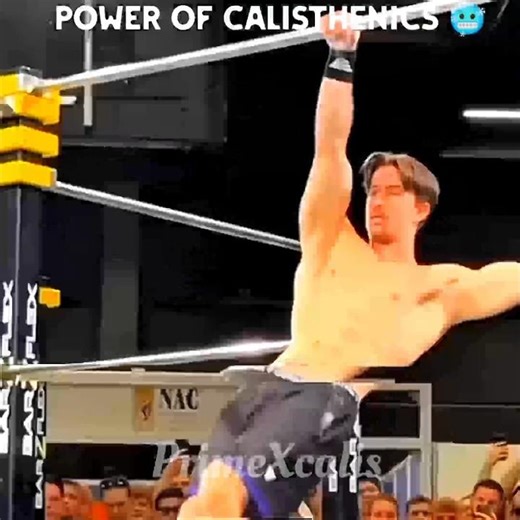 Power of Calisthenics part-9 🥶☠️ #calisthenics #bodyweight #motivation