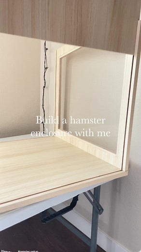 Dwarf Hamster Enclosure Build: Tips and Setup Guide
