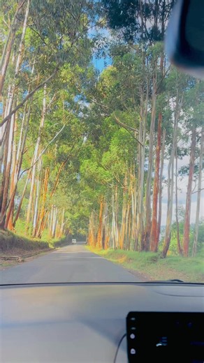 Visit Burundi: hidden gems in Burundi travel clips