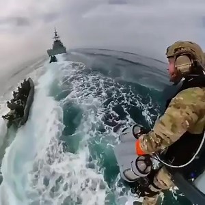 Monday. Coming in hot.. New week. GSD | RogueAmerican Apparel