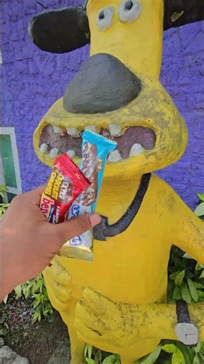 why is lala lulu's snack being held by dogi #trendingshorts