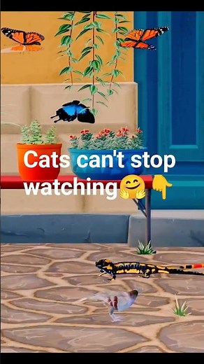 Cat Games | Ultimate Cat TV Compilation – Birds & Bugs for Cats to Watch 🐱🐦🐞